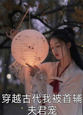 重逢：我与佳人共赏美景全集小说