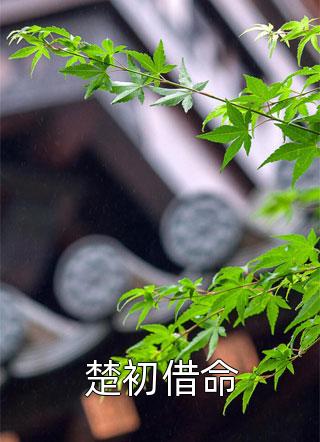 畅销巨著再来一次好不好