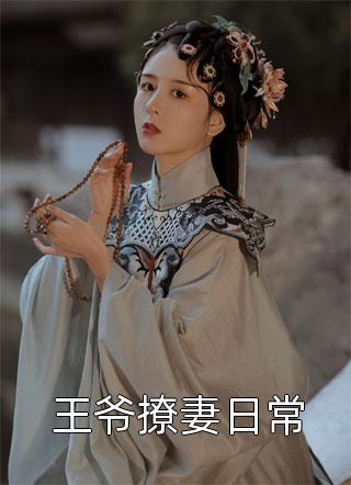 畅销小说推荐我的总裁白富美老婆